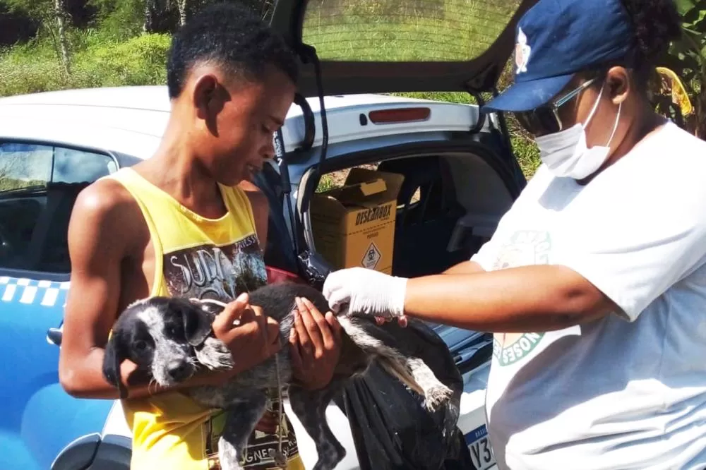 Foto: Divulgação SMS