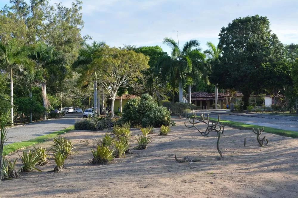 Fotos: Marcelo Magalhães