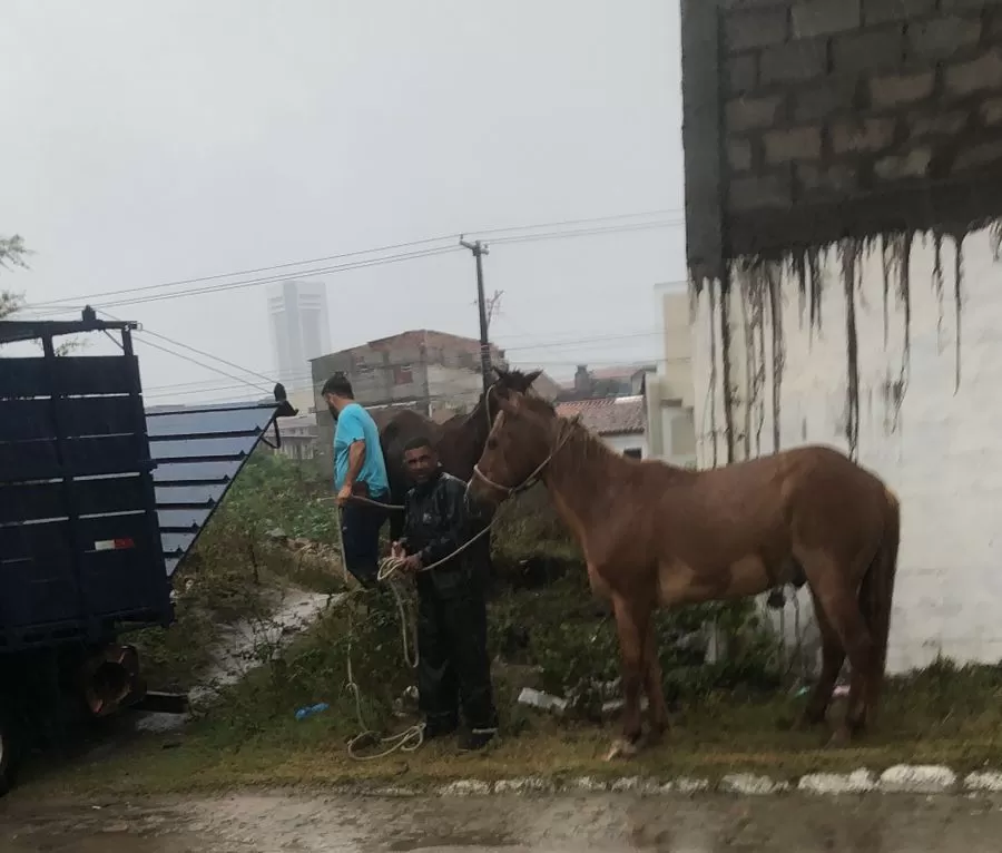 Fotos: Divulgação/SMS