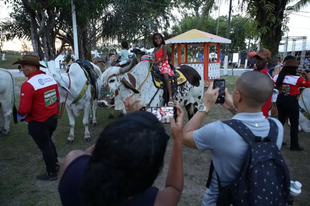Fotos: Thuane Maria/GOVBA