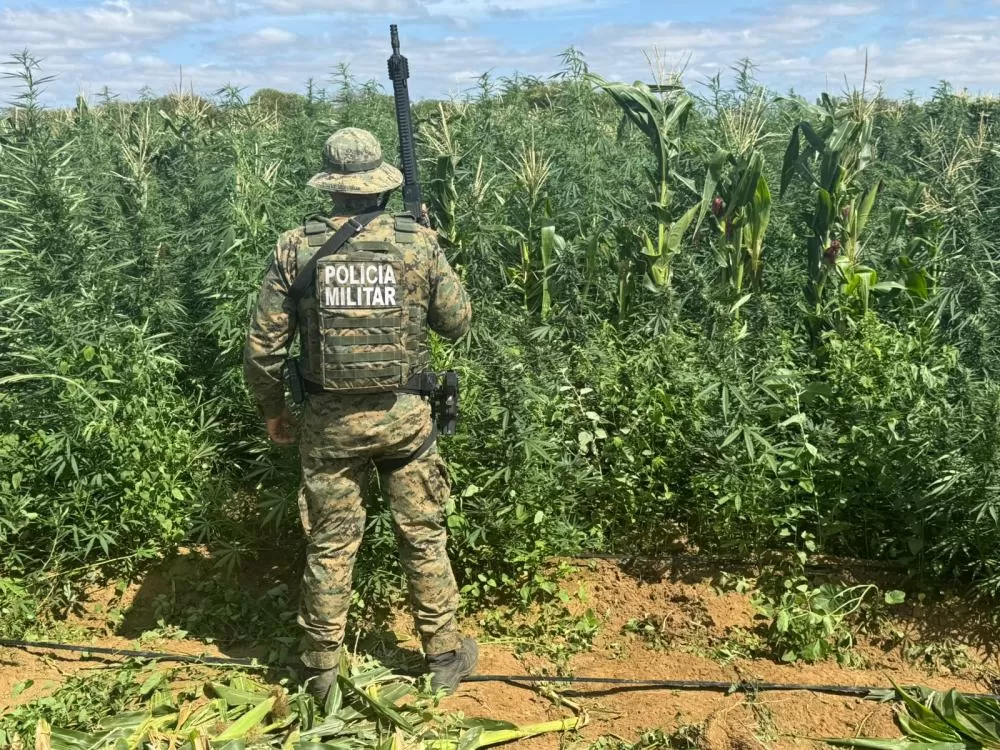 Fotos Ascom Cipe Semiárido