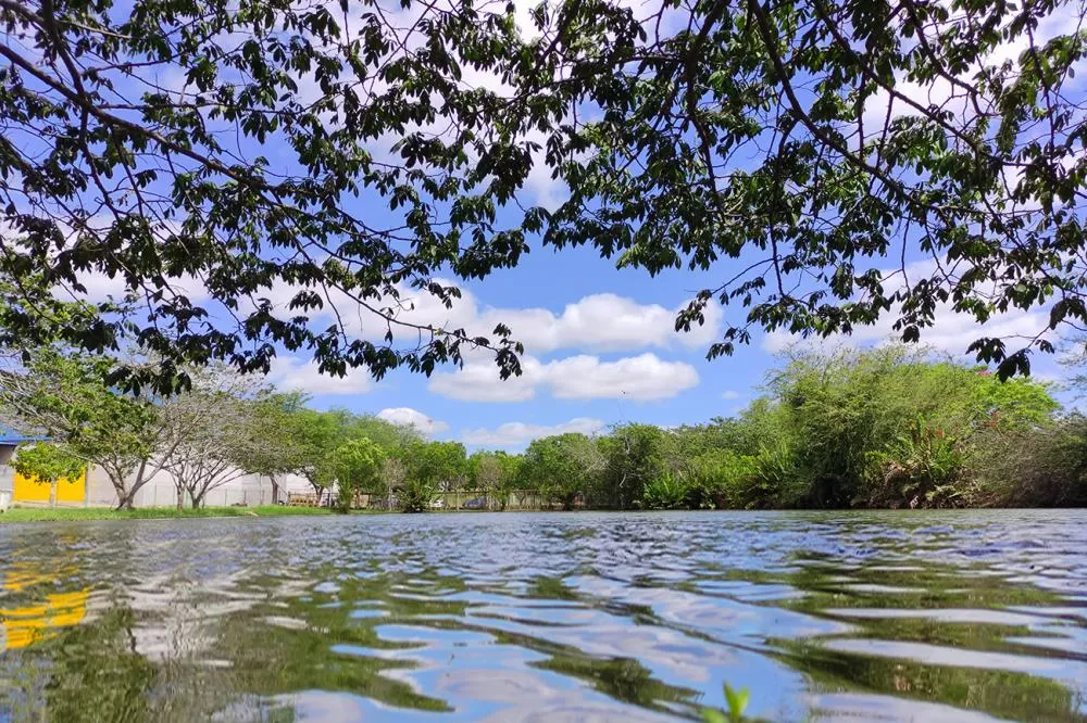Foto: ACM e Valto Novaes