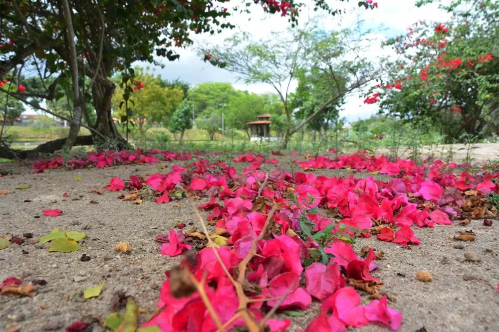 Foto: Divulgação SECOM