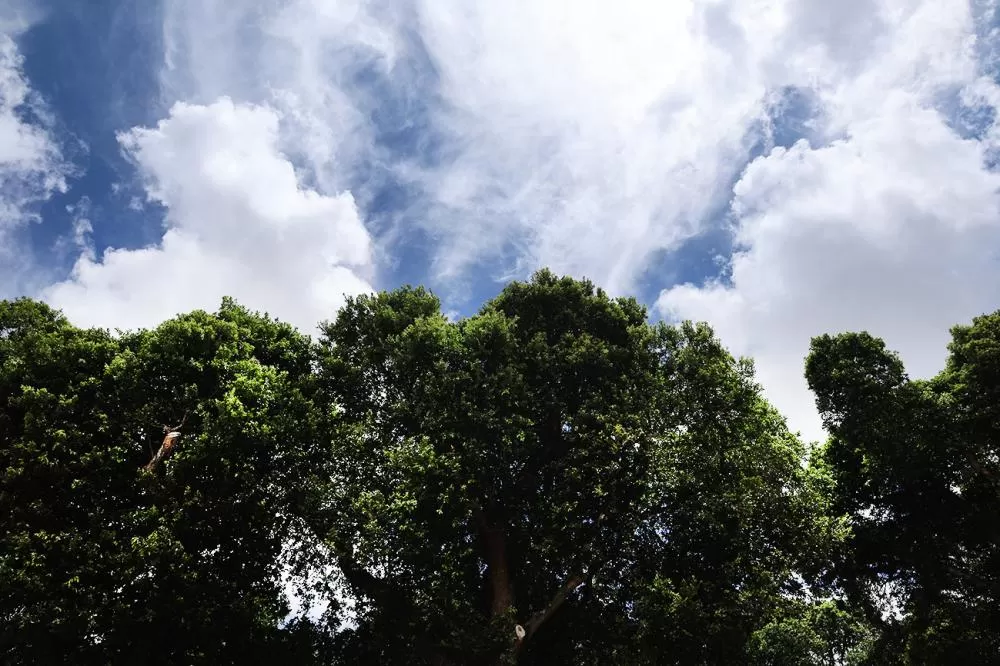 Final de semana com até 30°, diz previsão do tempo