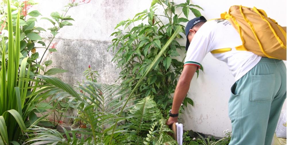 Foto: Divulgação SMS