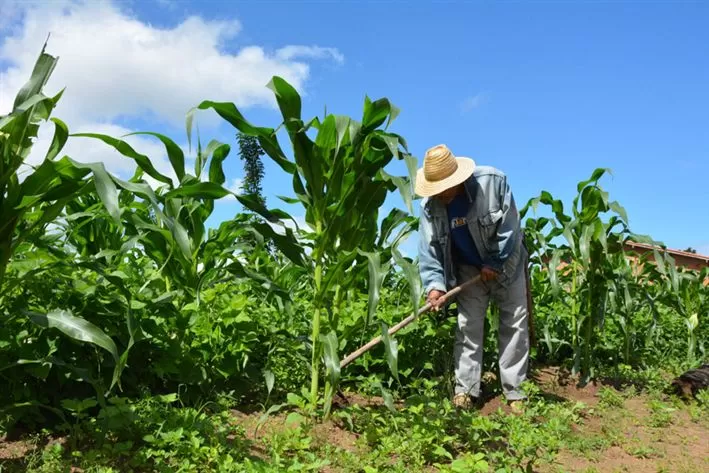 Fotos: Arquivo/SECOM