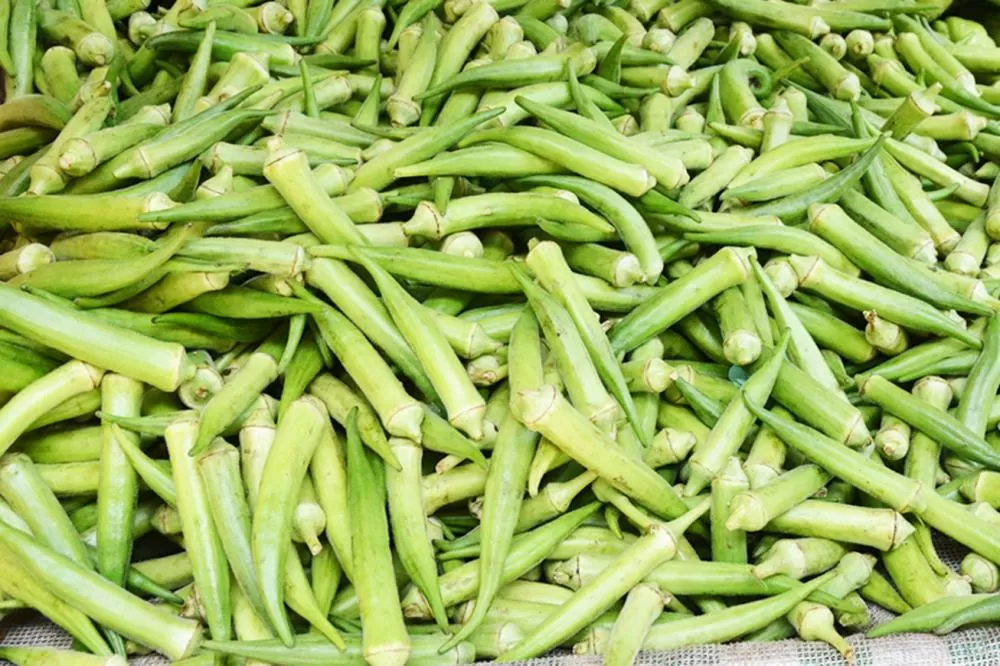 Fotos: Jorge Magalhães e Gabriel Calazans