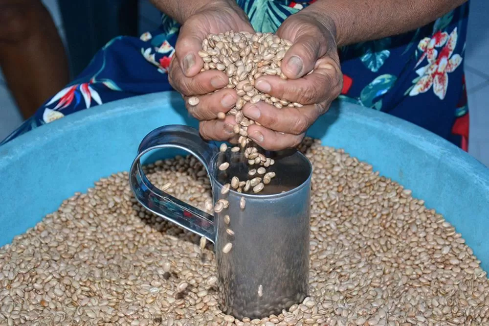 Foto: ACM e Jorge Magalhães