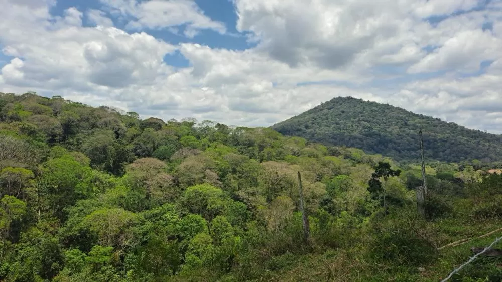 Sema e Inema fortalecem ações de proteção à fauna com novos editais do TCSA Porto Sul