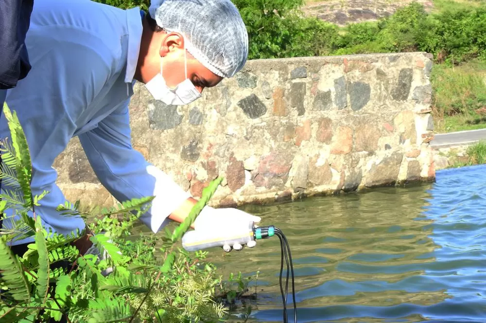 SEMMAM investiga mortandade de peixes na Barragem de Jaguara