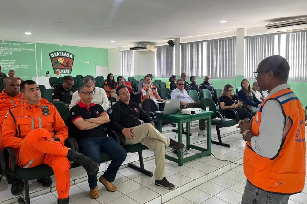 Foto: Divulgação - Defesa Civil