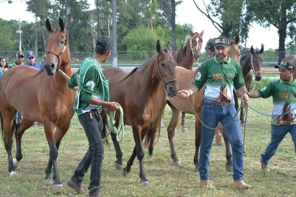 Fotos: Washington Nery Arquivo