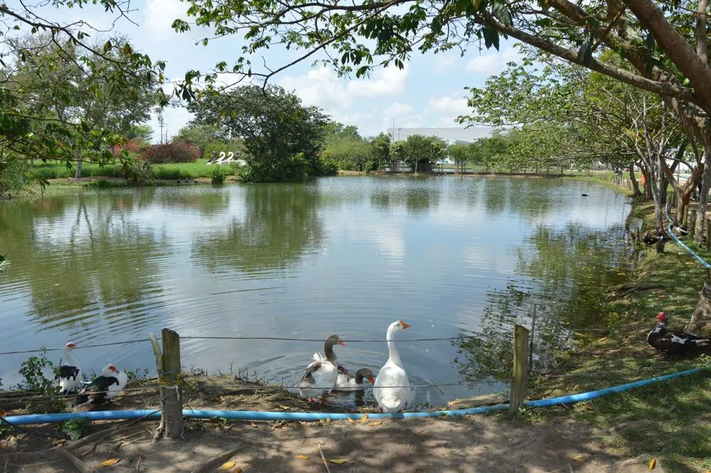 Semmam recebe propostas para compra de placas para identificar lagoas de Feira