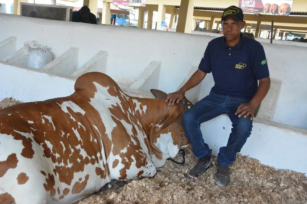 Foto: Jorge Magalhães