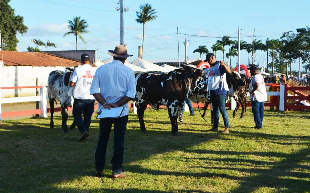 Fotos: Endy Heloise