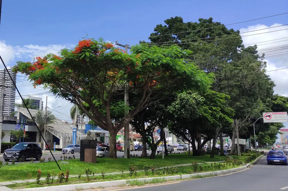 Foto: Valto Novaes - Arquivo e SEMMAM
