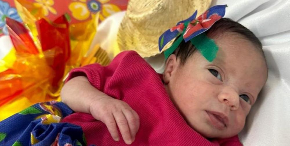 Fotos: Divulgação/FHFS