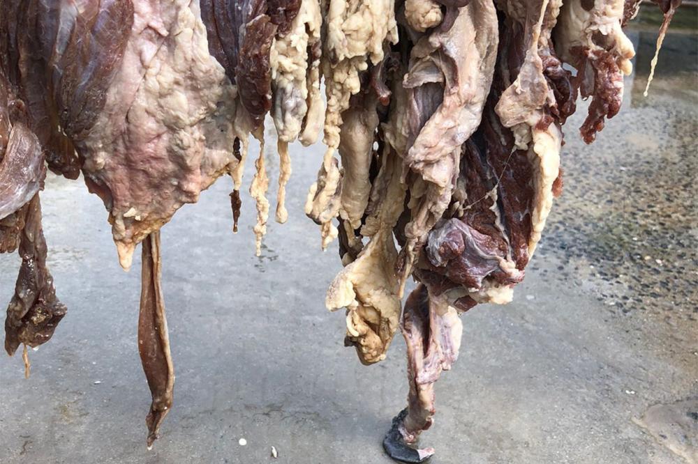 Foto: Divulgação- SEAGRI