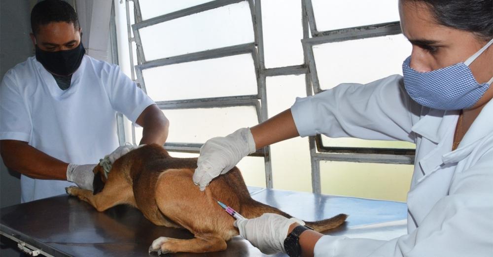 Foto: Divulgação Ascom-SMS