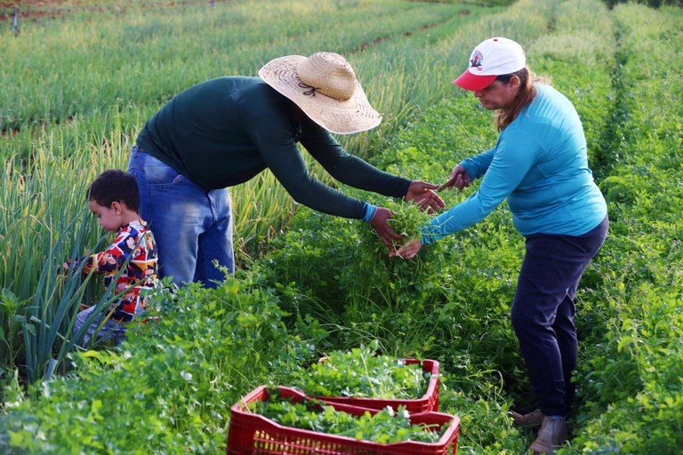  Foto: André Oliveira / MDS