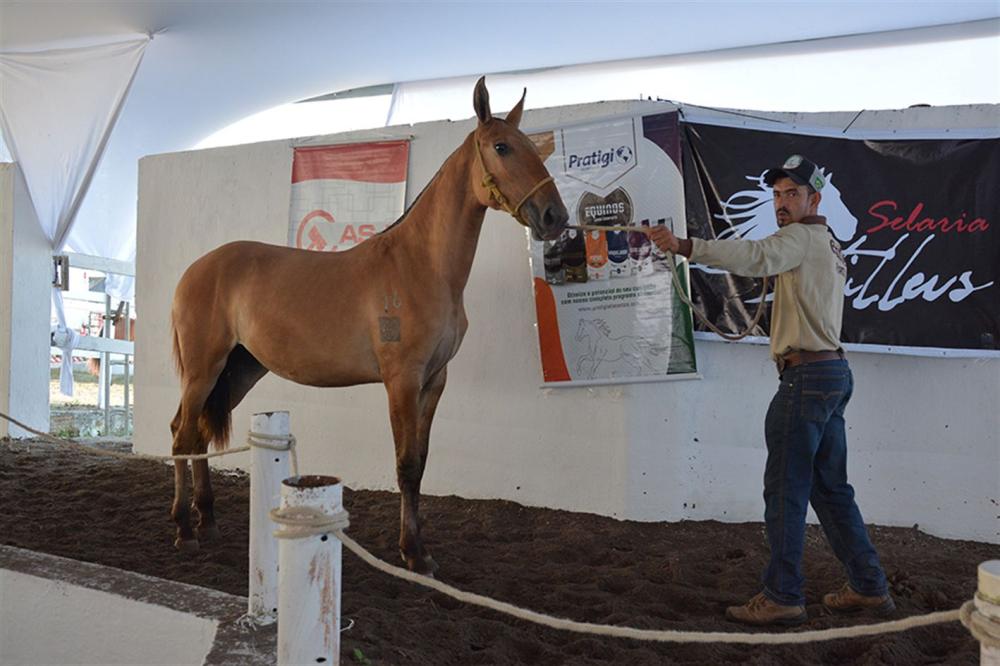 Foto: Jorge Magalhães 