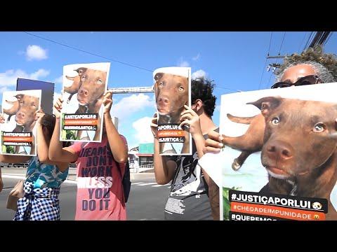 Cachorro é morto a pauladas e manifestantes cobram justiça