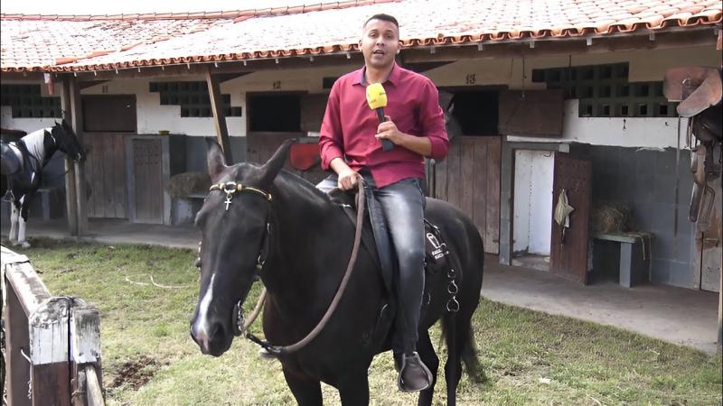 Criação de cavalos de raça cresce em Feira de Santana