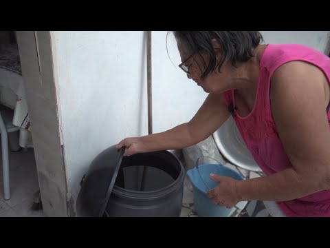 Proteja a sua casa contra a dengue em apenas 10 minutos