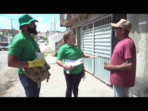 Feira registra alta de 2,8% no número de infectados pela dengue